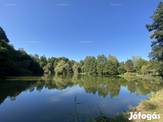 Bárdudvarnokon Családi Ház Kiadó
