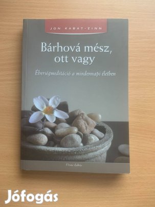 Bárhová mész, ott vagy - Éberségmeditáció, Jon Kabat - Zinn