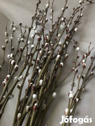 Barka csokor eladó húsvétra 