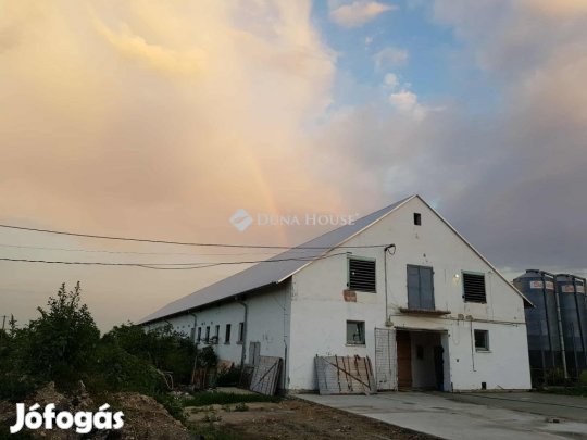 Barofitelep, 2 épület 2700m2, 4 hektár területen