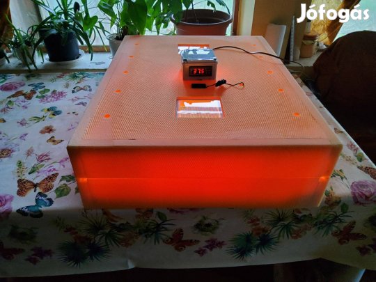 Baromfi Keltető 200 darabos