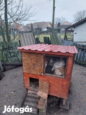 Baromfiól tyúkól eladó