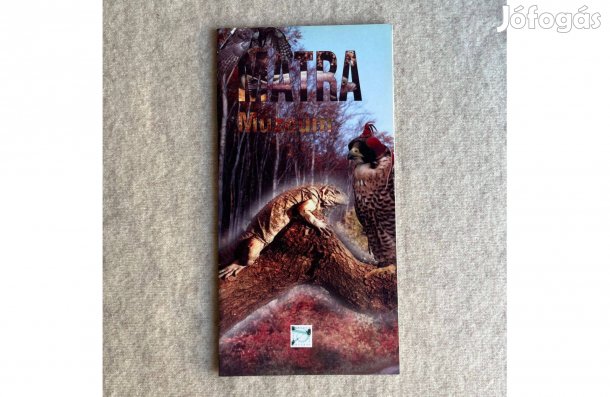 Báryné Gál Edit: Mátra Múzeum