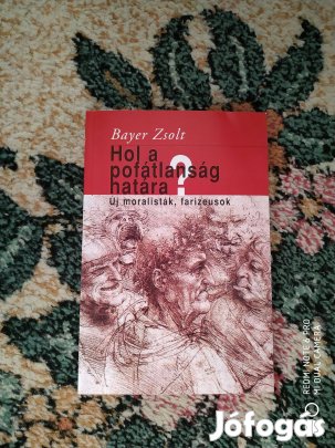 Bayer Zsolt - Hol a pofátlanság határa