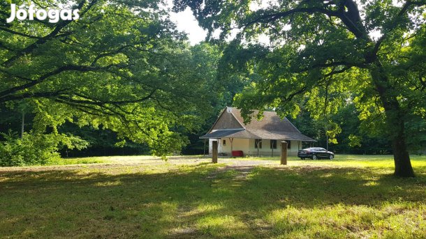 Beépíthető telek 50-100 éves tölgyfás 80.000 m2