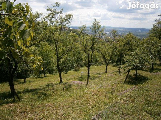 Beépíthető telek a Mecsekoldalban csodás kilátással eladó