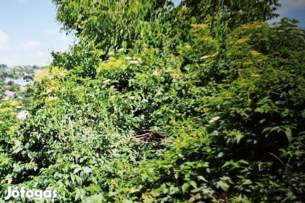 Befektetésnek ajánlom