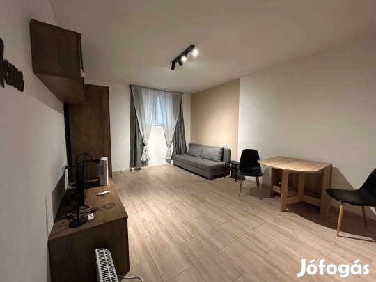 Befektetők figyelem! Teljeskörűen felújított, alacsony fenntartású lak