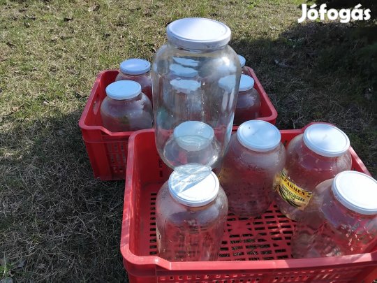 Befőttes üvegek 5 literes 12db eladó
