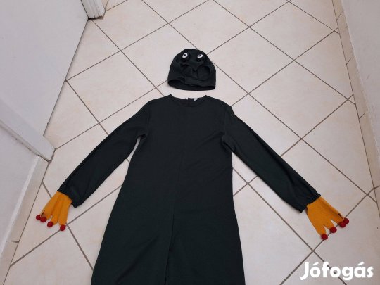 Béka jelmez iskolásoknak eladó