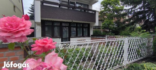 Békéscsabai eladó 265 nm-es ház