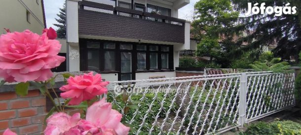 Békéscsabai eladó 265 nm-es ház