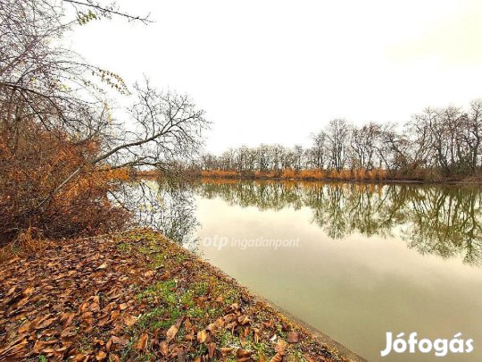 Békésszentandrási 1127 nm-es telek eladó