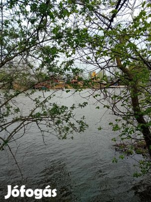 Békésszentandrási közvetlen vízparti telek eladó