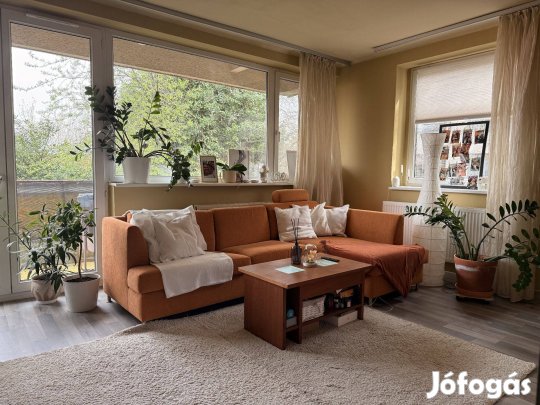 Béla király úton felújított, kétszobás, erkélyes lakás kiadó májustól!