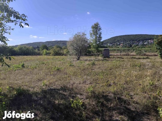 Belterületi építési telek Csopakon, gyönyörű környezetben!
