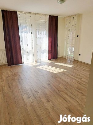 Belváros közelében üres lakás Kiadó!