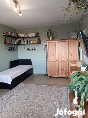 Belváros közeli panellakás, zöldövezetben!