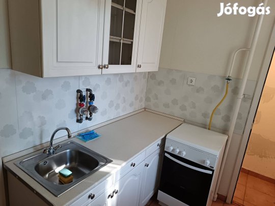 Belvárosban 1 szobás jó elrendezésű földszinti lakás eladó!