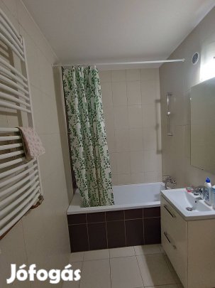 Belvárosban 50 m2-es, 2 szobás erkélyes bútorozott lakás kiadó