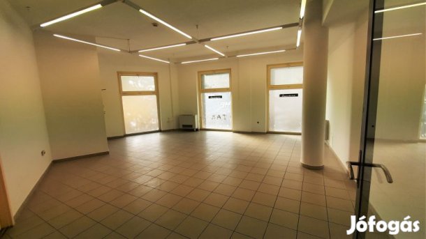 Belvárosban 56 m2-es üzlethelyiség kiadó!!