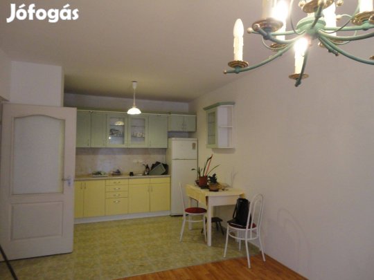 Belvárosi 2 szoba nappalis lakás garázzsal eladó