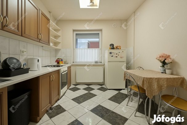 Belvárosi 42 négyzetméteres lakás