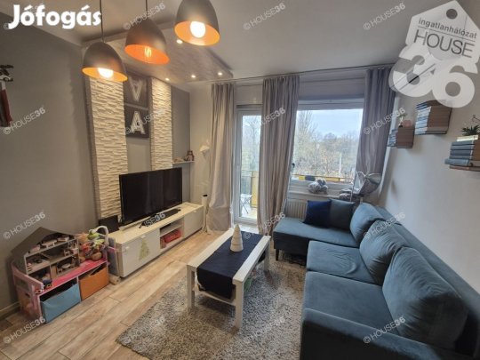 Belvárosi, garázsos lakás eladó!