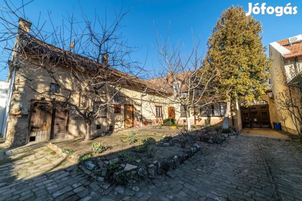 Belvárosi, sokfunkciós ingatlan, kétrendbeli lakással nagy telken