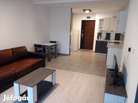 Belvárosi albérlet