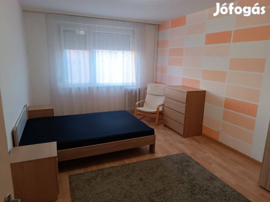Belvárosi albérletbe fiú lakótársat keresünk