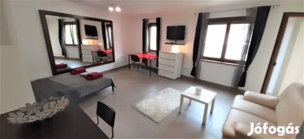 Belvárosi erkélyes, klimatizált garzon lakás kiadó!.