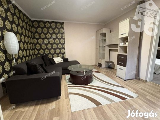 Belvárosi nyugalom kényelmes otthon Kecskeméten