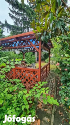 Belvárosi sok lehetőséget rejti ő családi ház eladó