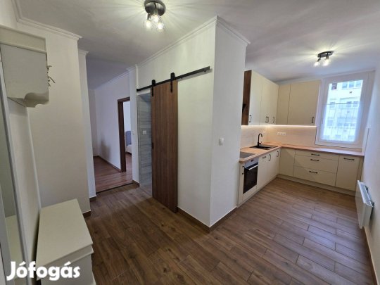 Belvárosközeli Modern 1. Emeleti Téglalakás Korszerű Technológiával
