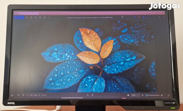 Benq 22" LCD monitor G2225HD