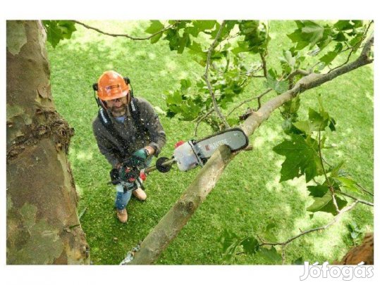 Benzines Magassági ágvágó sövénynyíró Fűkasza szett 4in1-Parkside