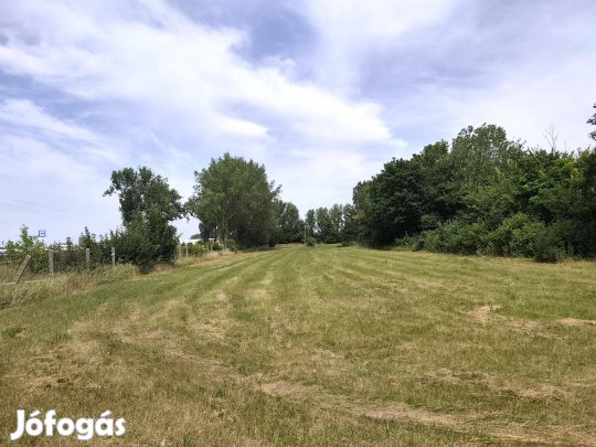 Bérelhető ipari telek