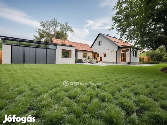 Berettyóújfalui 100 nm-es ház eladó