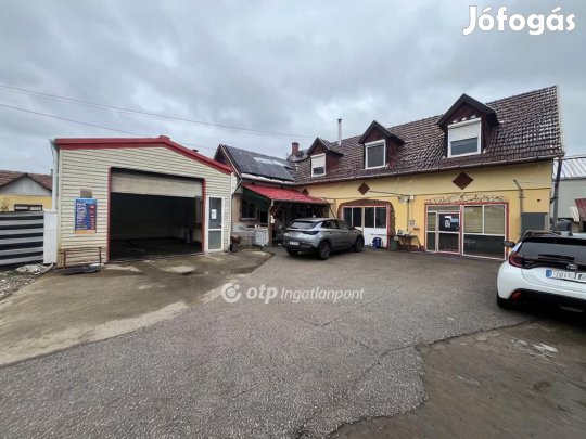 Berettyóújfalui 245 nm-es ház eladó