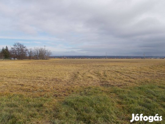Berhida szántó eladó!