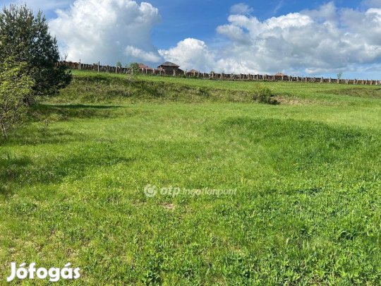 Berkenyei 1752 nm-es telek eladó