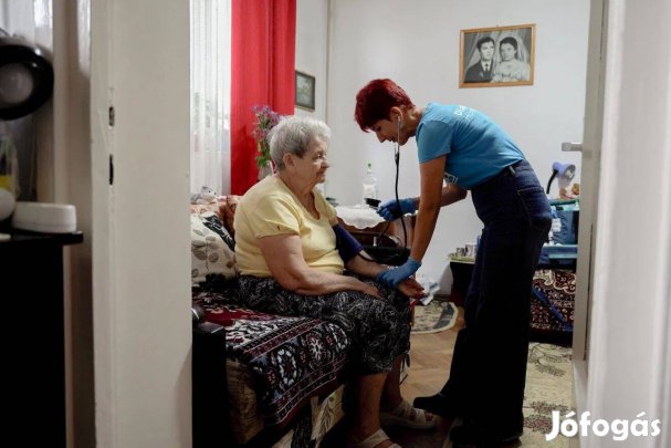 Beteggondozást vállalok Budapesten, akár éjszakai felügyelettel is