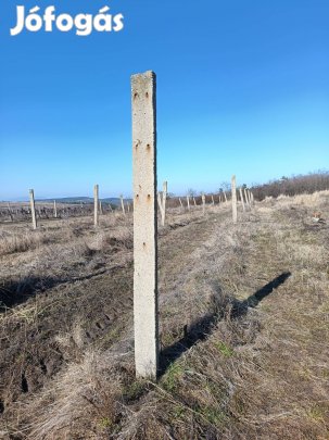 Betonoszlopok szőlő támrendszerből