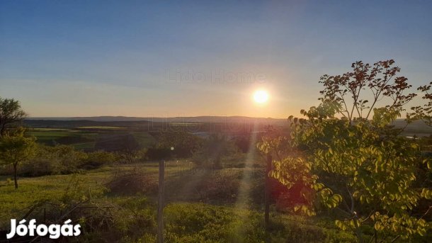 Bicske  Máléhegy, folyamatosan újított zártkerti ingatlan