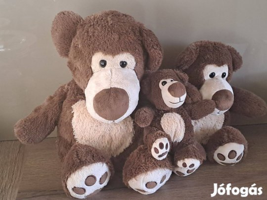 Big Nose maci család