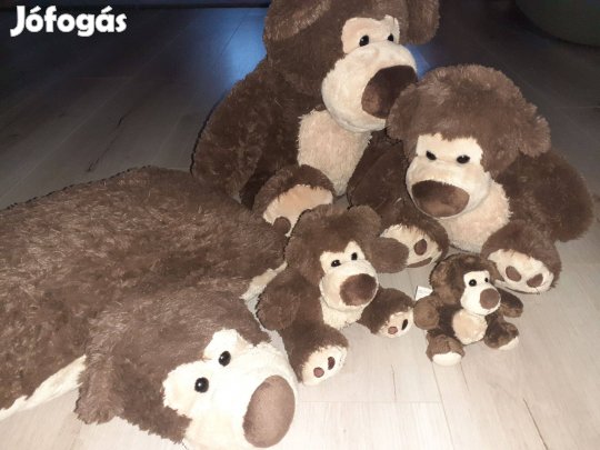 Big nose plüss macik, gyüjtemény