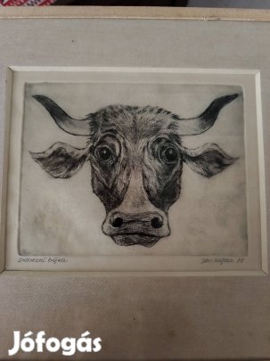 Bika rézkarc festmény 