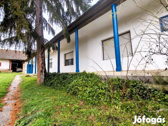 Bikal csendes zsákutcájában 130nm-es vidéki stílusú családi ház eladó!