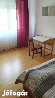 Bikás parknál szoba kiadó